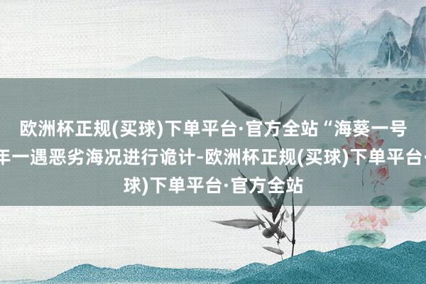 欧洲杯正规(买球)下单平台·官方全站“海葵一号”按照百年一遇恶劣海况进行诡计-欧洲杯正规(买球)下单平台·官方全站