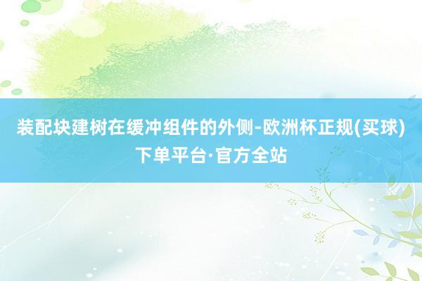 装配块建树在缓冲组件的外侧-欧洲杯正规(买球)下单平台·官方全站