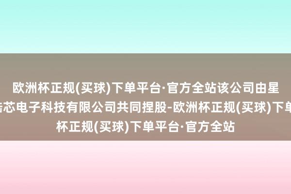 欧洲杯正规(买球)下单平台·官方全站该公司由星河微电、上海陆芯电子科技有限公司共同捏股-欧洲杯正规(买球)下单平台·官方全站