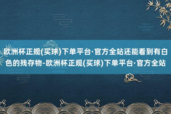 欧洲杯正规(买球)下单平台·官方全站还能看到有白色的残存物-欧洲杯正规(买球)下单平台·官方全站